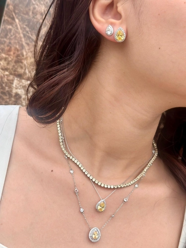 Colar Riviera 3 MM 4 Garras