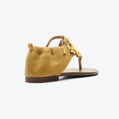 Flat Star Caramelo