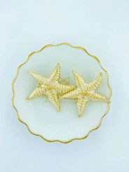 Brinco Estrela do Mar Esmaltada